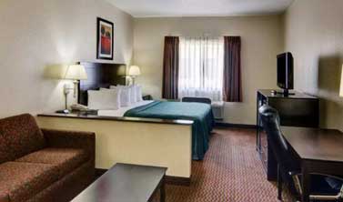 Spacious Suites